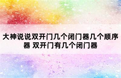 大神说说双开门几个闭门器几个顺序器 双开门有几个闭门器